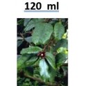 Strophanthin Urtinktur Natur pur ( Strophanthus gratus) 120ml